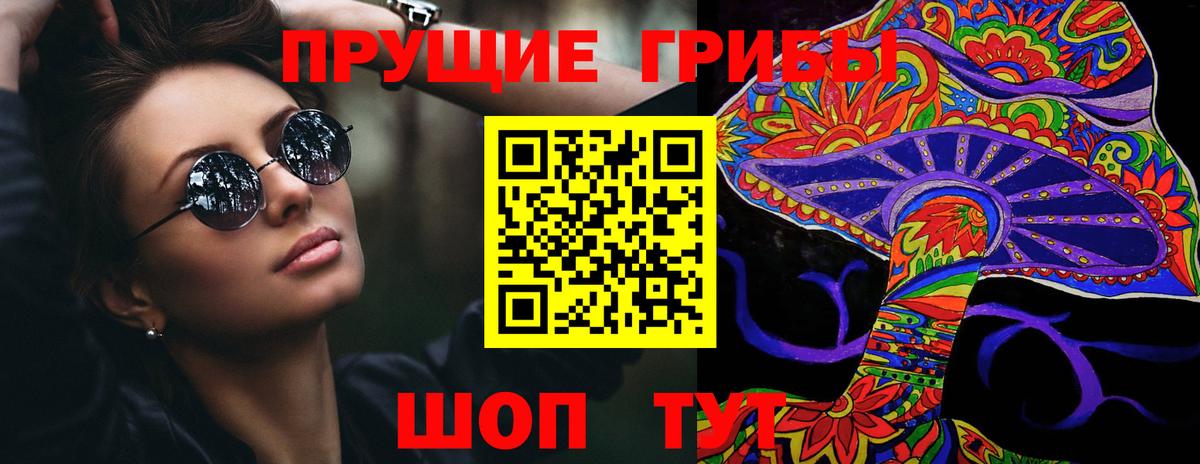 Псилоцибиновые грибы Psilocybine cubensis  Вход с VPN  Сосновый Бор 